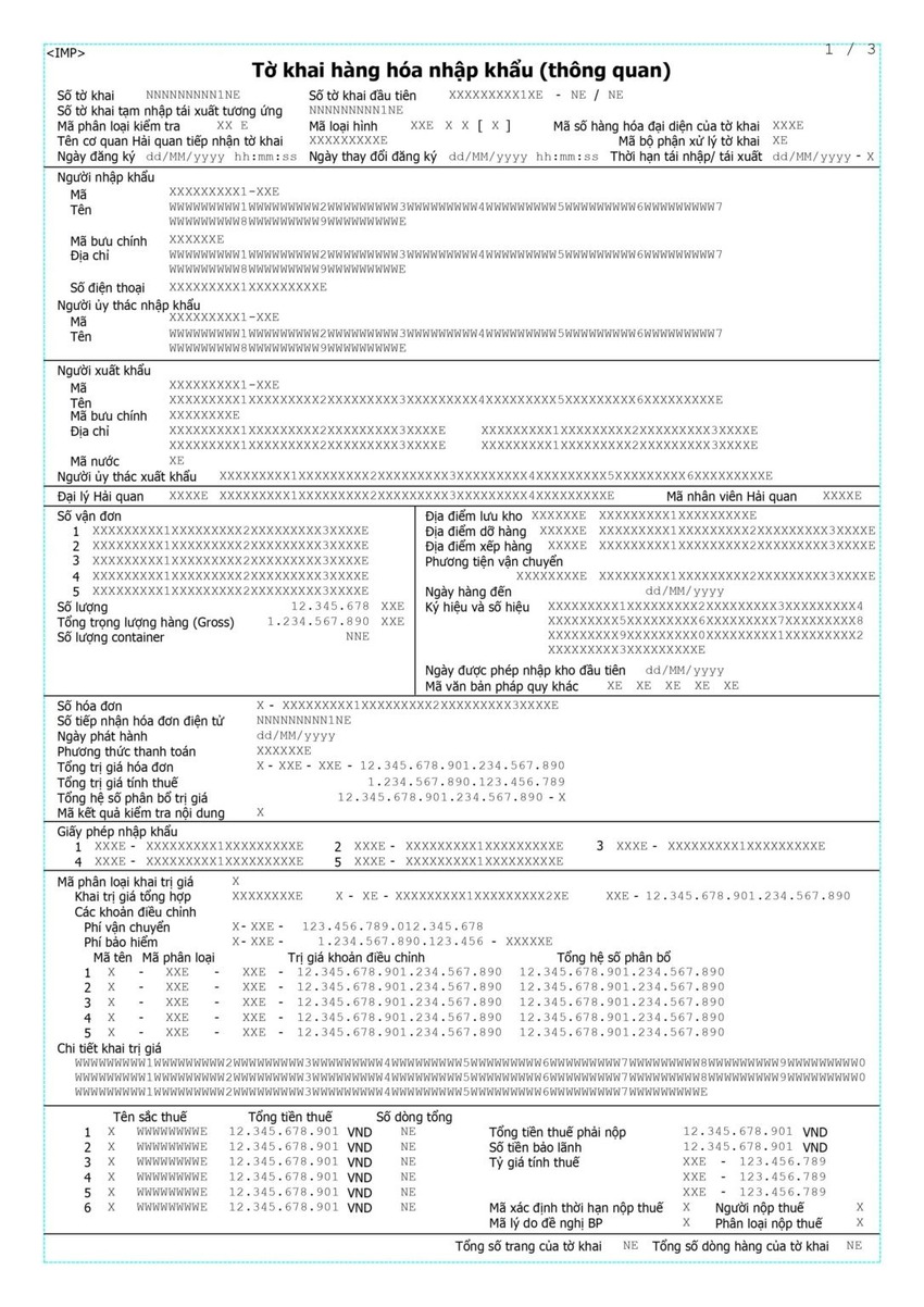 Hình ảnh tờ khai hàng hóa nhập khẩu - Một trong những giấy tờ cần có khi nhập khẩu thang máy.