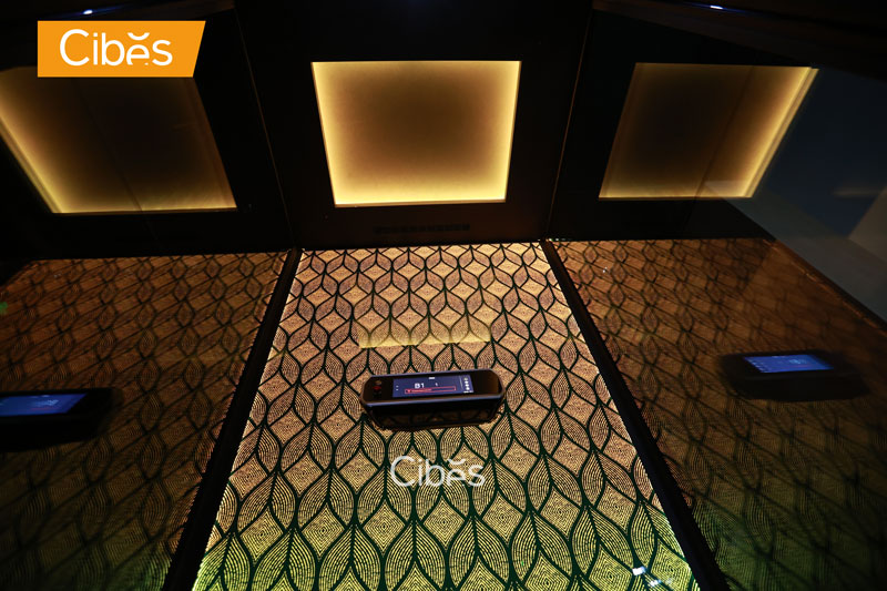 Tham khảo mẫu cabin thang máy đẹp với hệ thống đèn LED