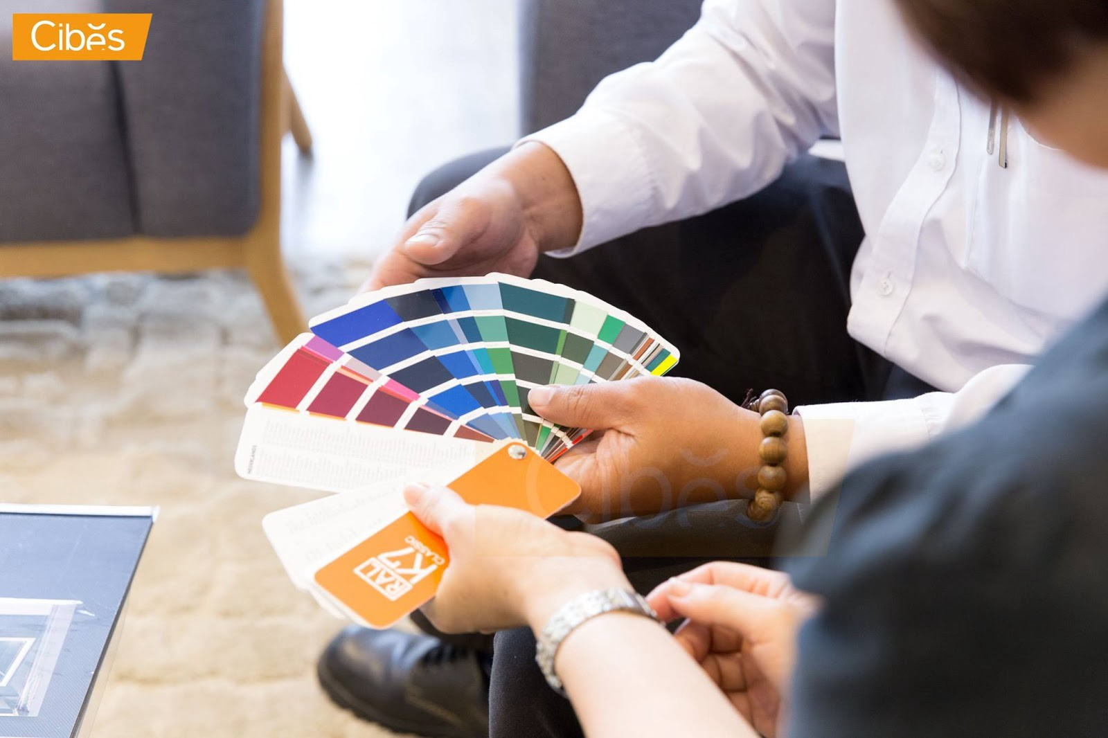 Với 248 màu sắc tùy chọn cùng họa tiết đa dạng, thang máy Cibes có thể đáp ứng tốt nhu cầu của bạn