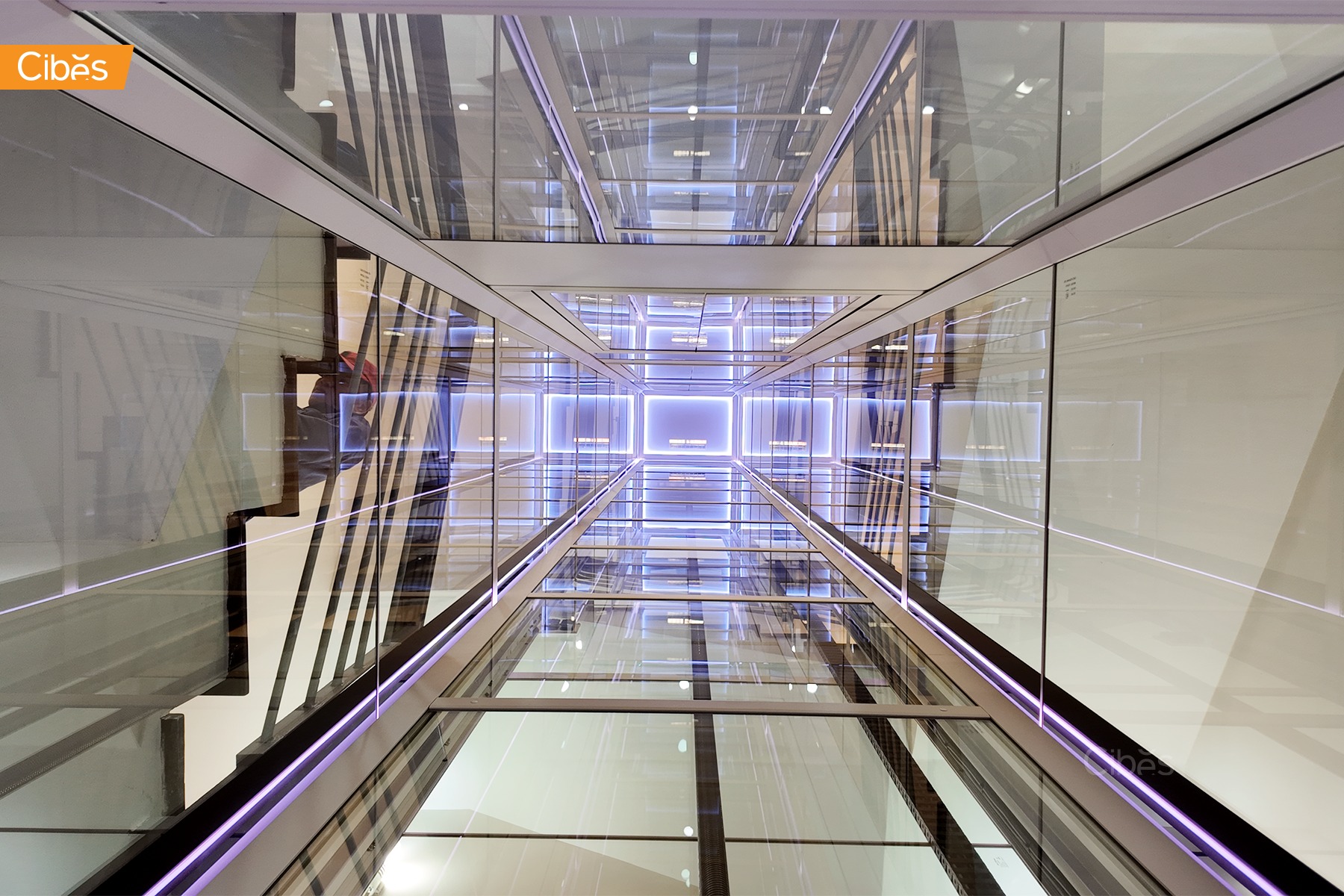 Thang máy kính toàn cảnh lắp đặt trong không gian penthouse