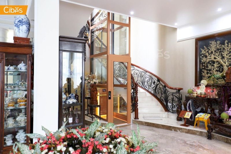 Thang máy gia đình 300kg Cibes Air lắp đặt tại Long An